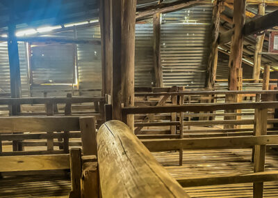 Inside The Shearing Shed At Orroral Homestead