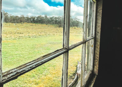 Looking Out From Inside The Coolamine Homestead