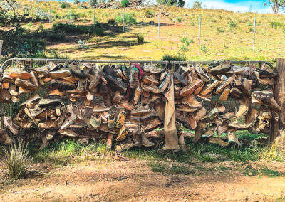 Shoe Gate On Boboyan Road Near Westerman Homestead