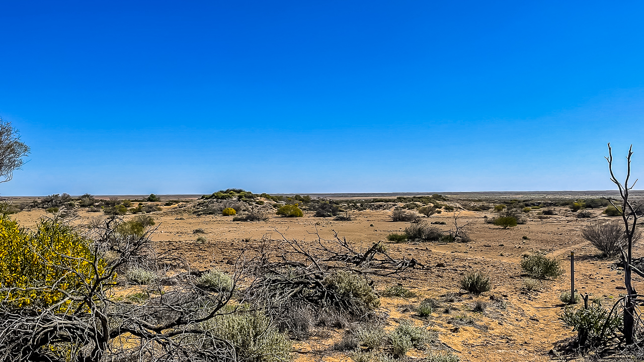 Strangway Springs Mound Springs On The Oodnadatta Track In