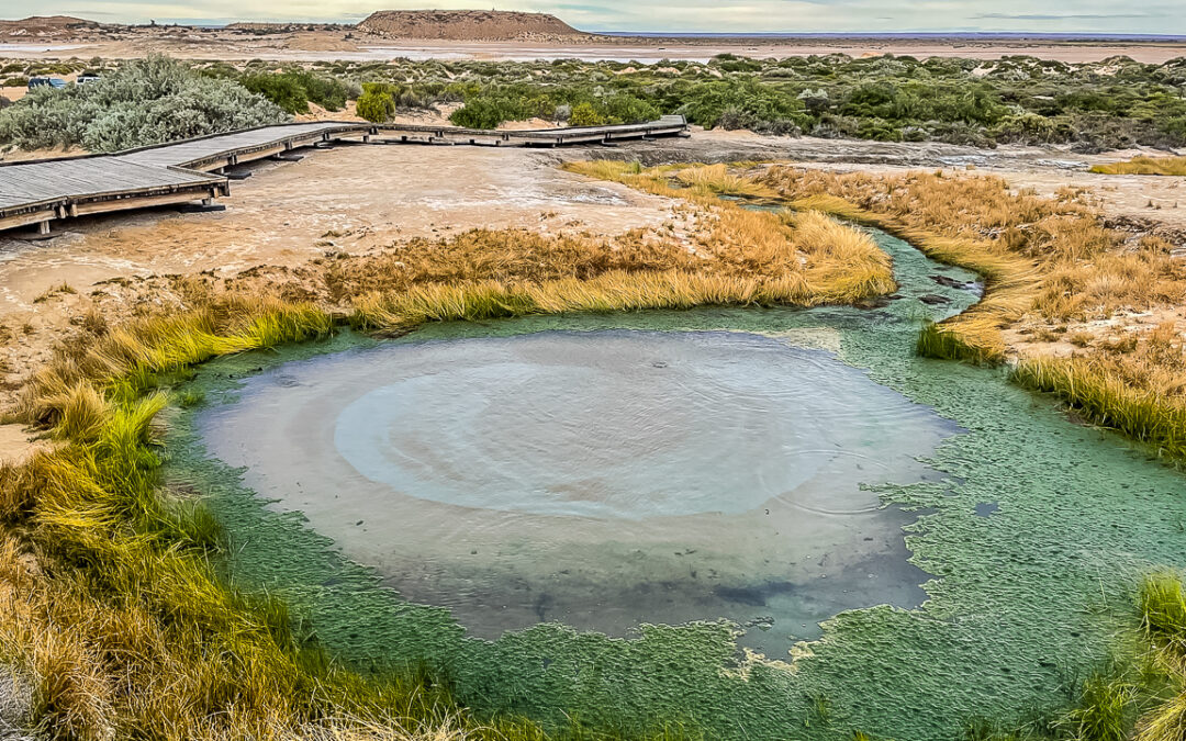 Mound Springs On The Oodnadatta Track