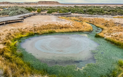 Mound Springs On The Oodnadatta Track