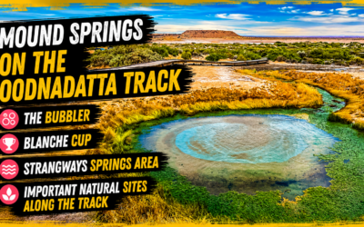 Mound Springs On The Oodnadatta Track