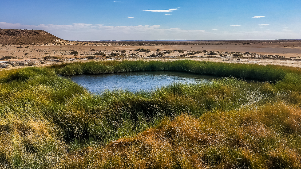 The Bubbler Mound Spring On The Oodnadatta Track