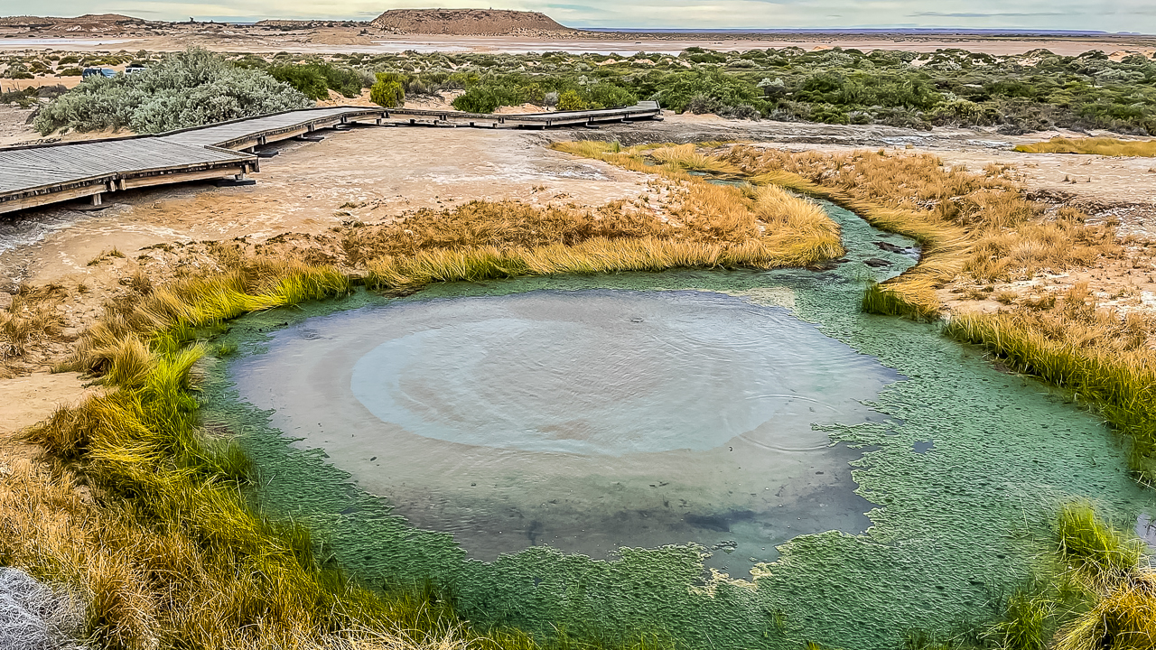 The Bubbler Mound Spring