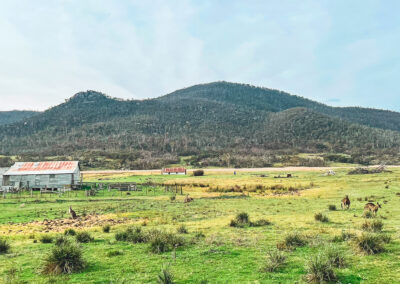 View Down To Orroral Homestead