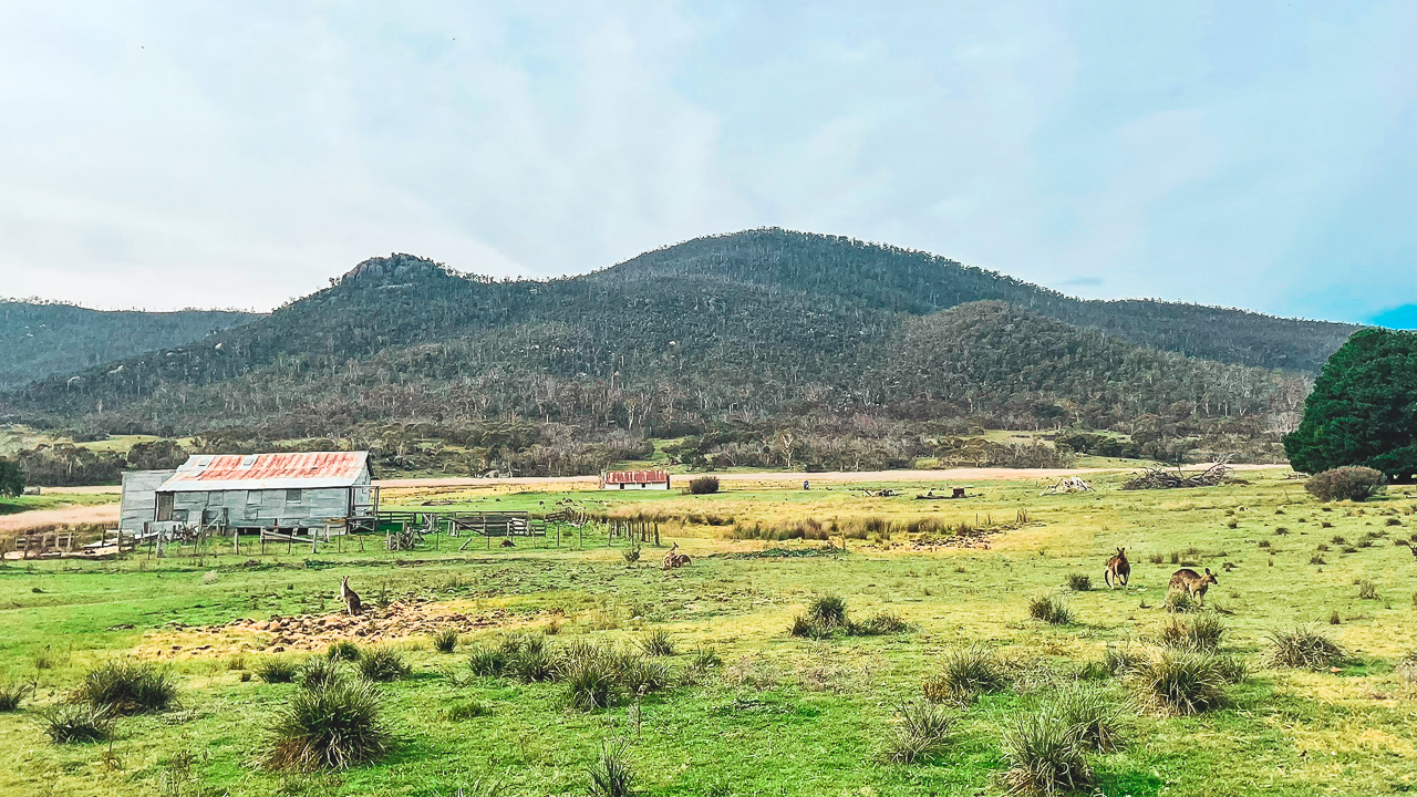 View Down To Orroral Homestead