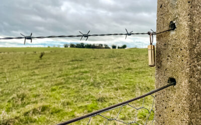 Geocaching Lachlan Valley Way – Hume Highway To Boorowa