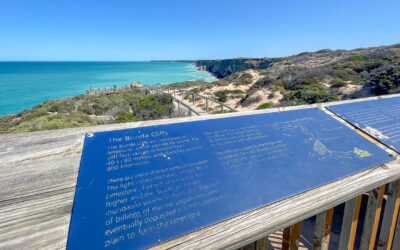 Head Of Bight Visitor Guide 2026 |  Nullarbor Whale Watching