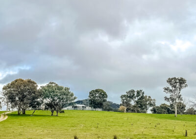 Winter Along Lachlan Valley Way