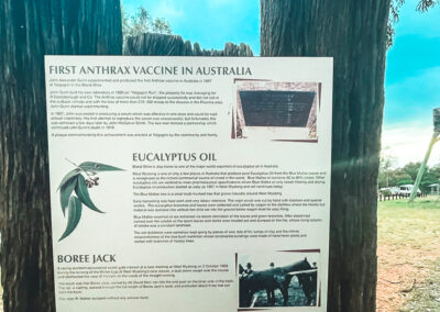 Information Board