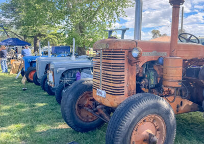 Lineup Of Tractors At The Cootamundra Show